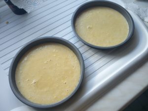 The Mixture in Baking Trays