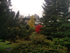 Looking towards the winter gardens with a red tree in the middle of the picture
